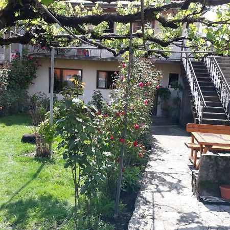 Apartment Dejan Cetinje Exterior photo